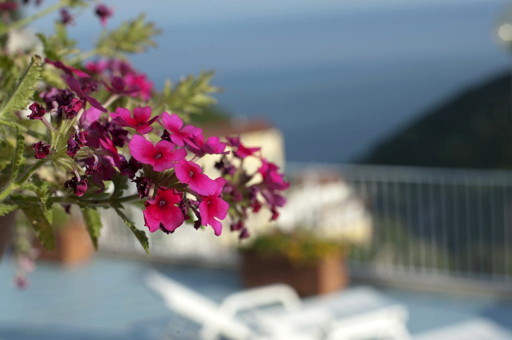 Le Terrazze Di Cristina Bed & Breakfast Vietri Екстериор снимка