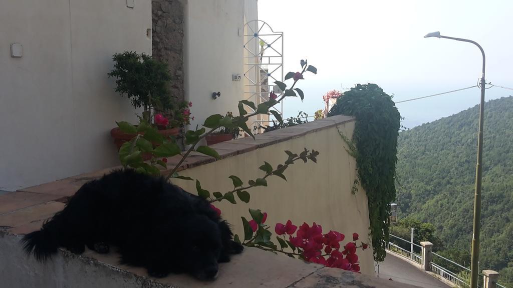 Le Terrazze Di Cristina Bed & Breakfast Vietri Екстериор снимка
