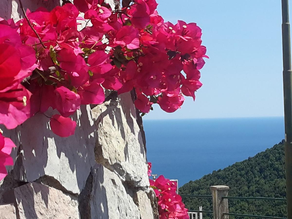 Le Terrazze Di Cristina Bed & Breakfast Vietri Екстериор снимка