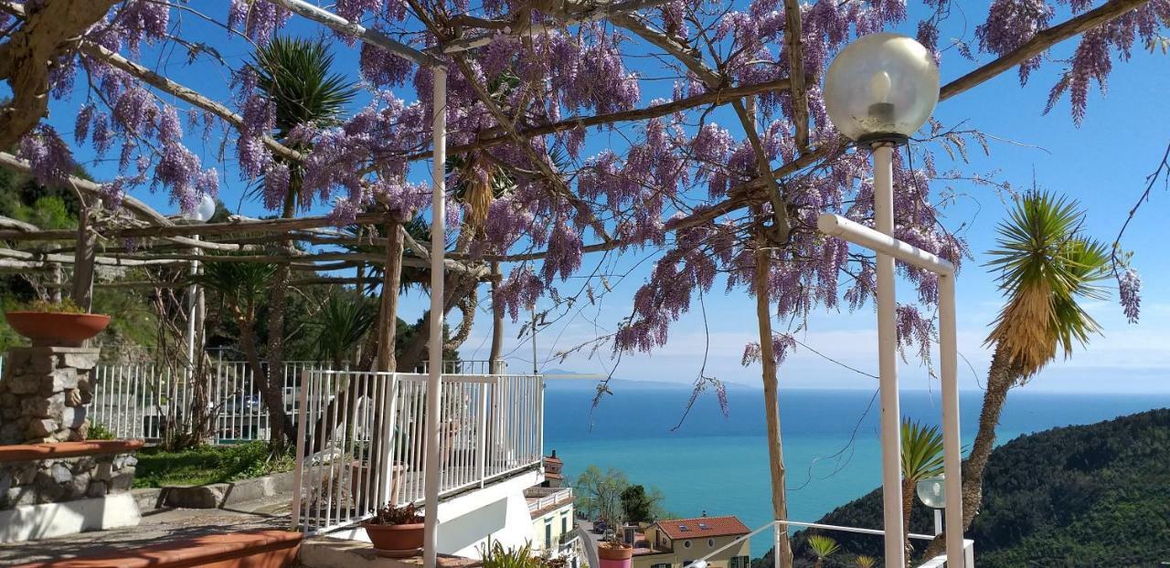 Le Terrazze Di Cristina Bed & Breakfast Vietri Екстериор снимка
