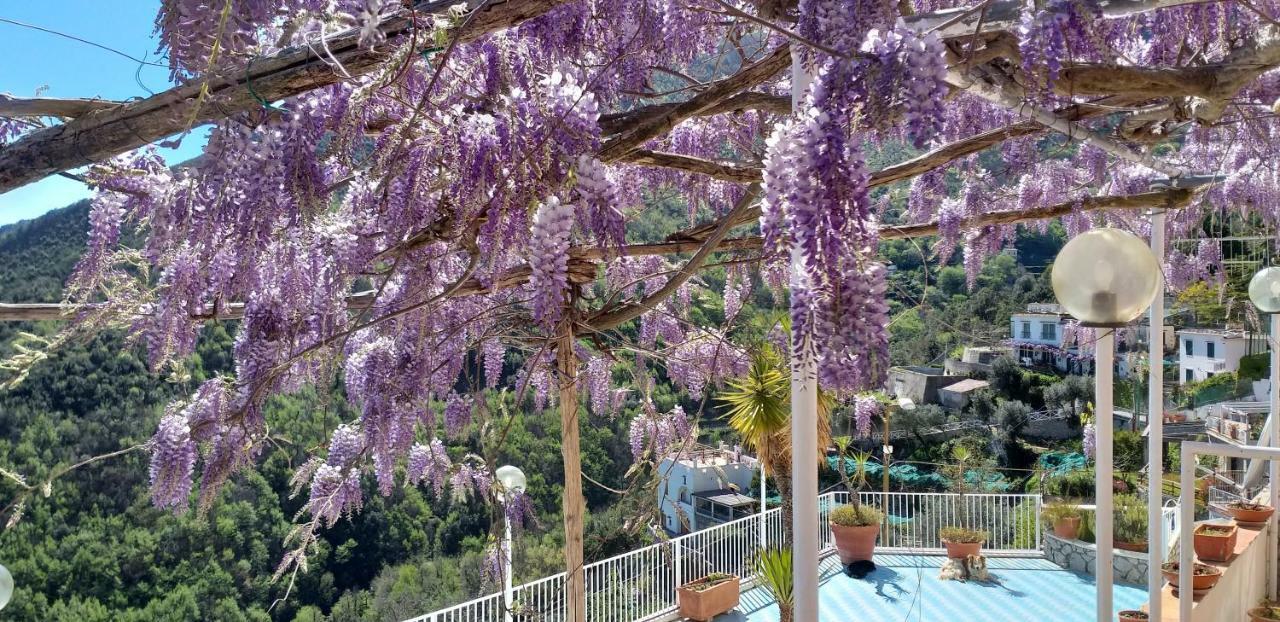 Le Terrazze Di Cristina Bed & Breakfast Vietri Екстериор снимка