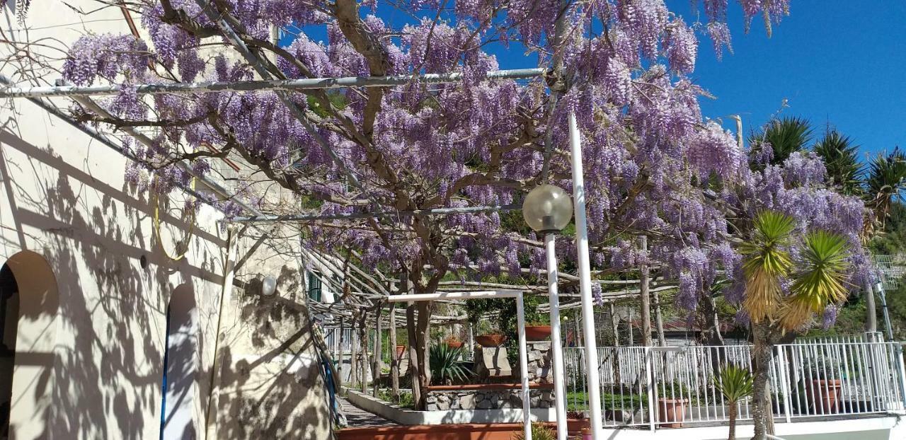 Le Terrazze Di Cristina Bed & Breakfast Vietri Екстериор снимка
